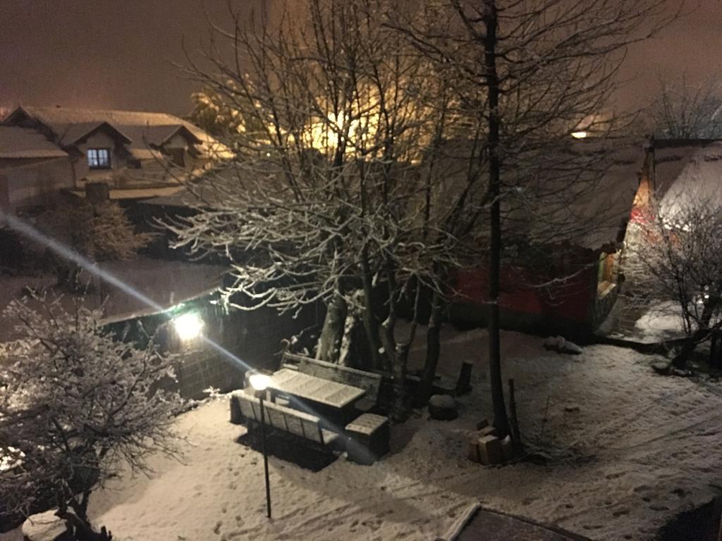 Cabanas Pehuenia Hostel El Bolsón Zewnętrze zdjęcie